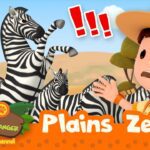 Witness21  2023 02 04