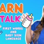 Witness21 Editor  2023 02 20