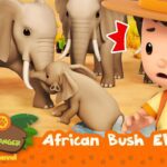 Witness21  2023 02 11