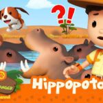 Witness21  2023 02 25