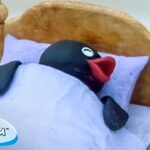 Pingu pretends to be ill 🐧 | Pingu – Official Channel | Cartoons For Kids - Kids (0-4), Kingdom Kids Zone - Pingu - Official Channel