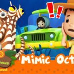 Witness21  2023 03 11