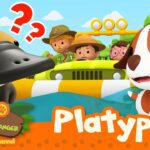 Witness21  2023 03 25