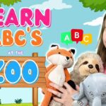 Witness21 Editor  2023 03 06