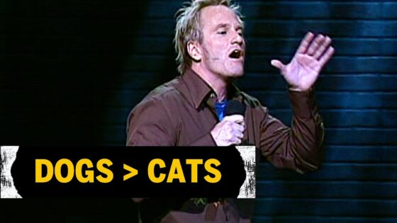 Dogs Are Better Than Cats | Brad Stine - Comedy, Shorts - Brad Stine Has Issues