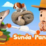 Witness21  2023 03 04