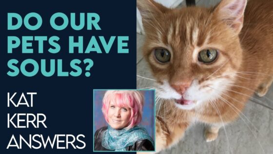 Kat Kerr: Do Our Pets Have Souls? | Dec 14 2022 - Encounters, Heaven Trip, Testimonies - ElijahClips