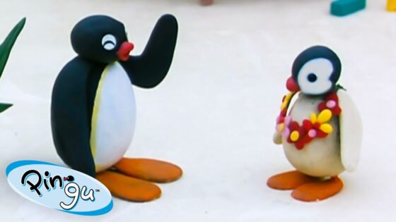 Pingu on Holiday 🐧 | Pingu – Official Channel | Cartoons For Kids - Kids (0-5), Kingdom Kids Zone - Pingu - Official Channel
