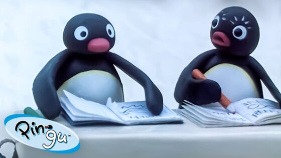 Pingu at School 🐧 | Pingu – Official Channel | Cartoons For Kids - Kids (0-5), Kingdom Kids Zone - Pingu - Official Channel