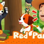 Witness21  2023 03 18