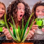 Three smiling girls pose with large glass jars of green liquid beside a potted plant on a kitchen counter.