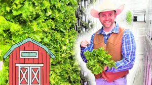 Smiling farmer in a cowboy hat and brown vest holds a bunch of fresh lettuce beside lush greenhouse rows.