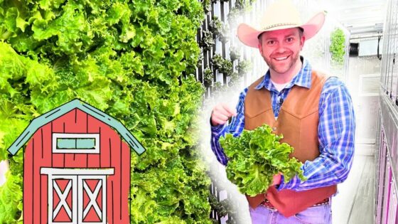 Smiling farmer in a cowboy hat and brown vest holds a bunch of fresh lettuce beside lush greenhouse rows.