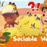 Witness21  2023 04 08