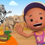 Witness21  2023 04 23