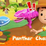 Witness21  2023 04 29