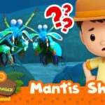 Witness21  2023 04 22