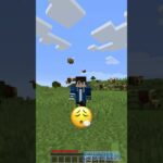 Minecraft, But When I Say “Wither” Then 10 Withers Spawns - Gameplay, Kingdom Kids Zone, Minecraft - EYstreem