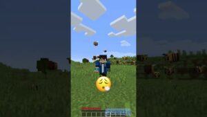 Minecraft, But When I Say “Wither” Then 10 Withers Spawns - Gameplay, Kingdom Kids Zone, Minecraft - EYstreem