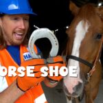 Man in a blue hard hat and orange safety vest holds a metal horseshoe next to a brown horse in a barn, with the overlay text 'HORSE SHOE' on the image.