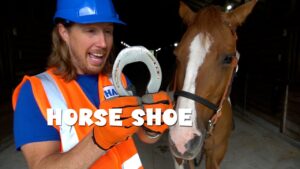 Man in a blue hard hat and orange safety vest holds a metal horseshoe next to a brown horse in a barn, with the overlay text 'HORSE SHOE' on the image.