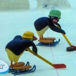 Pingu's Favorite Sports 🐧 | Pingu – Official Channel | Cartoons For Kids - Kids (0-5), Kingdom Kids Zone - Pingu - Official Channel