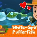 Witness21  2023 04 15