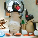 Pingu Wraps Up 🐧 | Pingu – Official Channel | Cartoons For Kids - Kids (0-4), Kingdom Kids Zone - Pingu - Official Channel