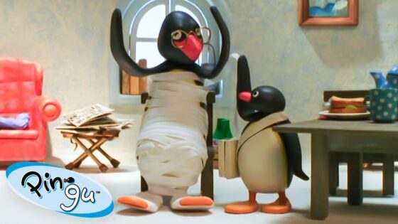 Pingu Wraps Up 🐧 | Pingu – Official Channel | Cartoons For Kids - Kids (0-5), Kingdom Kids Zone - Pingu - Official Channel