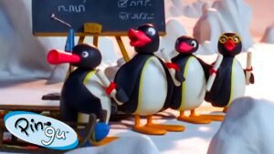 Pingu Likes School 🐧 | Pingu – Official Channel | Cartoons For Kids - Kids (0-5), Kingdom Kids Zone - Pingu - Official Channel