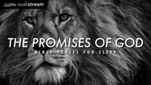 The Promises of God | Bible Verses For Sleep - Hope & Healing, Meditations - SOAKSTREAM - Healing Scriptures