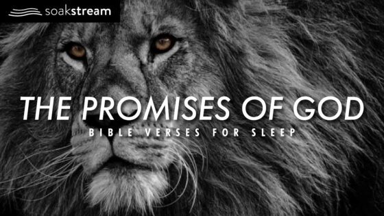 The Promises of God | Bible Verses For Sleep - Hope & Healing, Meditations - SOAKSTREAM - Healing Scriptures