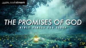 The Promises of God | Bible Verses For Sleep - Hope & Healing, Meditations - SOAKSTREAM - Healing Scriptures