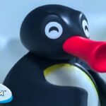 Pingu the problem solver! 🐧 | Pingu – Official Channel | Cartoons For Kids - Kids (0-4), Kingdom Kids Zone - Pingu - Official Channel