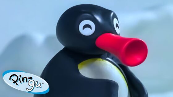 Pingu the problem solver! 🐧 | Pingu – Official Channel | Cartoons For Kids - Kids (0-5), Kingdom Kids Zone - Pingu - Official Channel