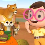 Witness21  2023 05 14