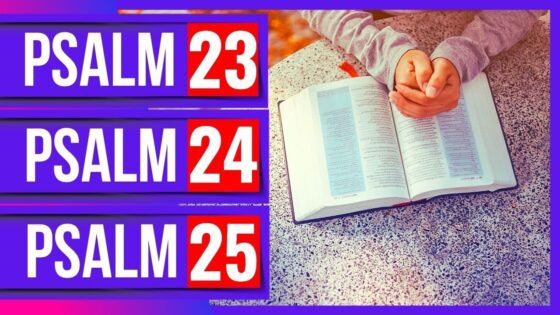 Psalm 23, Psalm 24, Psalm 25 (Powerful Psalms for sleep)(Bible verses for sleep with God's Word) - Hope & Healing, Meditations - Peaceful Scriptures Official