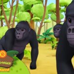 Witness21  2023 05 19