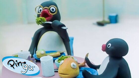 Pingu's Family 🐧 | Pingu – Official Channel | Cartoons For Kids - Kids (0-5), Kingdom Kids Zone - Pingu - Official Channel