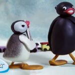 Pingu Plays Tag 🐧 | Pingu – Official Channel | Cartoons For Kids - Kids (0-5), Kingdom Kids Zone - Pingu - Official Channel