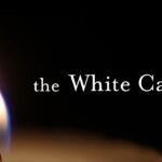 Witness21 Editor  2023 06 07