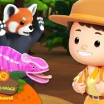 Witness21  2023 06 11