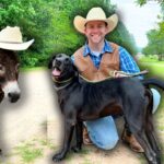 Smiling cowboy kneeling on a dirt road beside a black dog and a brown donkey wearing hats in a green countryside setting.