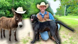 Smiling cowboy kneeling on a dirt road beside a black dog and a brown donkey wearing hats in a green countryside setting.