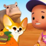 Witness21  2023 06 18