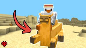 Let's Play the TRAILS & TALES UPDATE in HARDCORE! Minecraft 1.20 - Gameplay, Kingdom Kids Zone, Minecraft - CringyGull