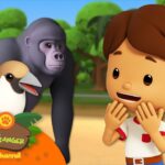 Witness21  2023 06 04