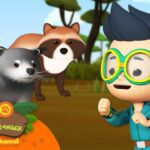 Witness21  2023 06 25