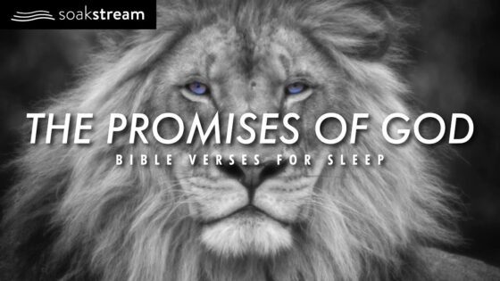 God Will Make You Whole Again – Bible Verses For Sleep - Hope & Healing, Meditations - SOAKSTREAM - Healing Scriptures