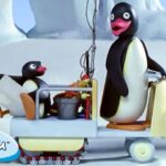 Like Father, Like Pingu 🐧 | Pingu – Official Channel | Cartoons For Kids - Kids (0-4), Kingdom Kids Zone - Pingu - Official Channel